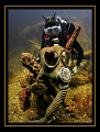 Diver with gas masks in one of the cargo holds of the Fujikawa Maru in Truk Lagoon :) 